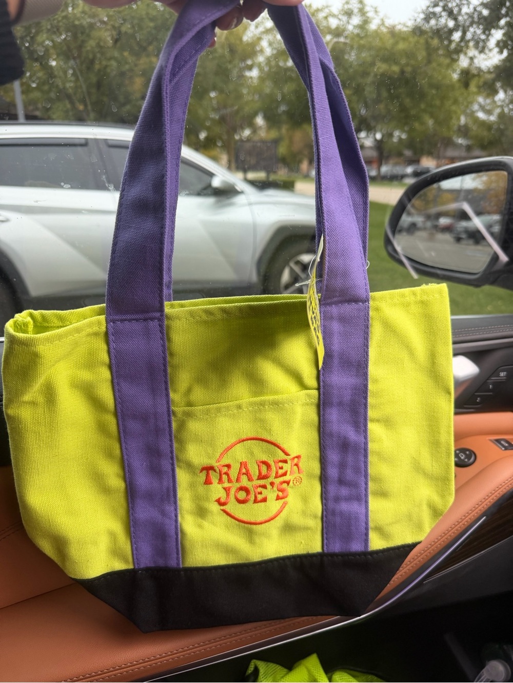 Trader Joes Mini Halloween Canvas Tote Bag Green Multi Limited Edition NWT